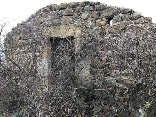 Tour de Courcourt [12-02-2022](IMG_4318).jpg